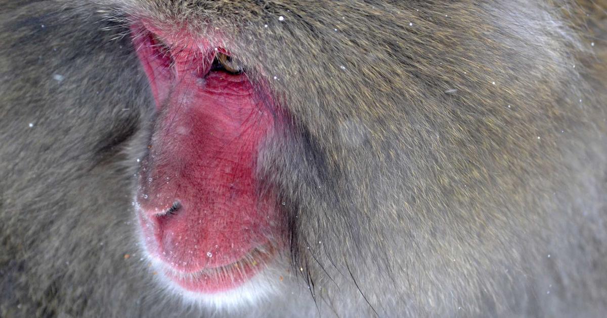 远程桌面技术全解：高效管理与安全保障 - 远程桌面 远程桌面