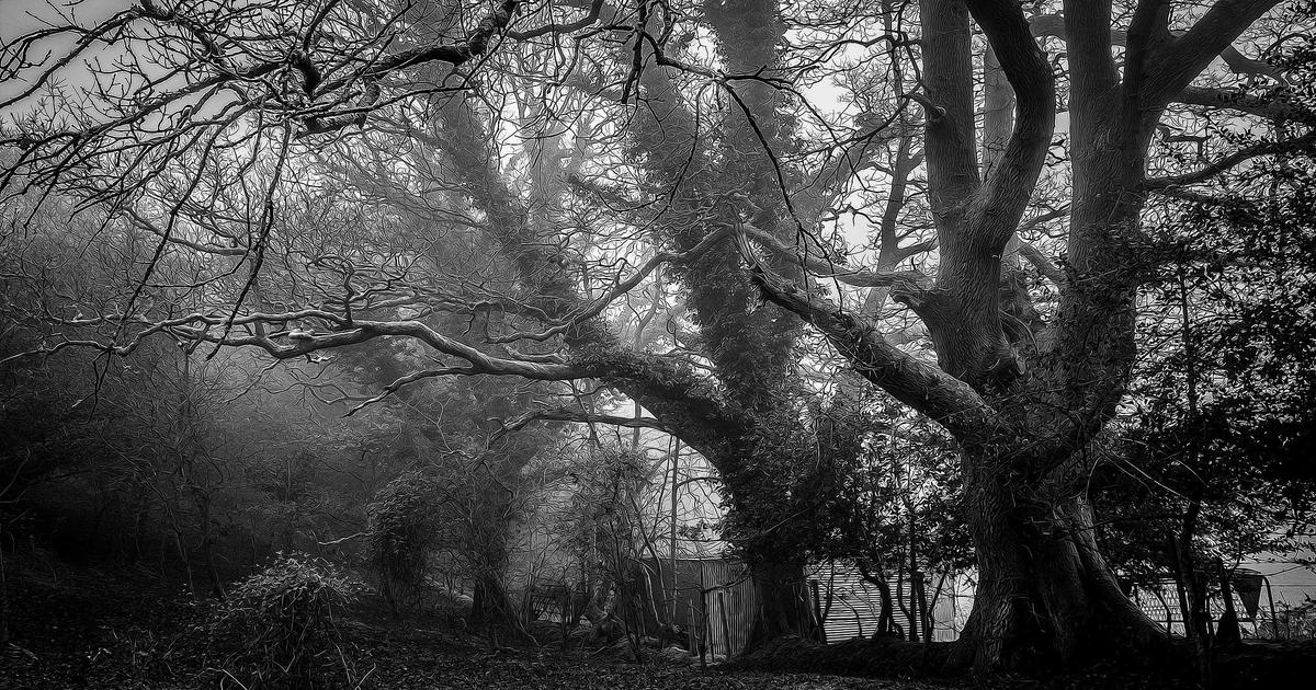 远程控制安全：企业网络的防护关键 - 远程控制安全 远程桌面