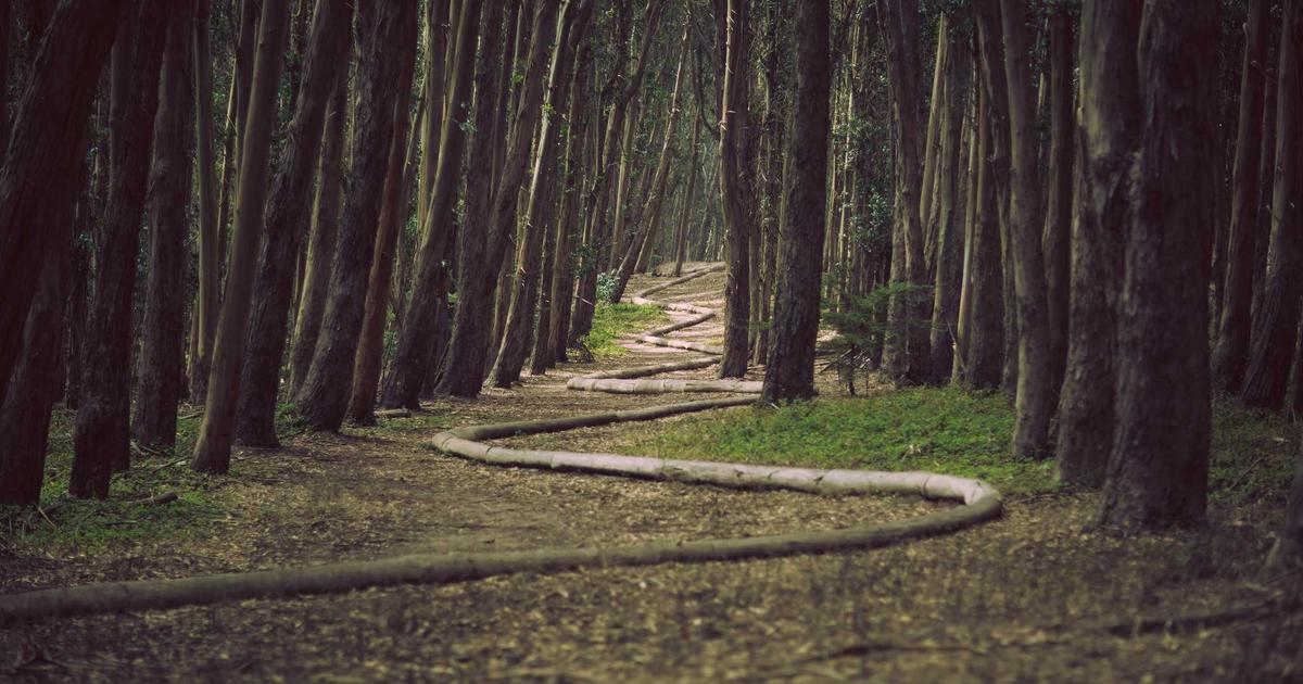 远程办公工具：提升效率的秘密武器 - 远程办公工具 远程桌面