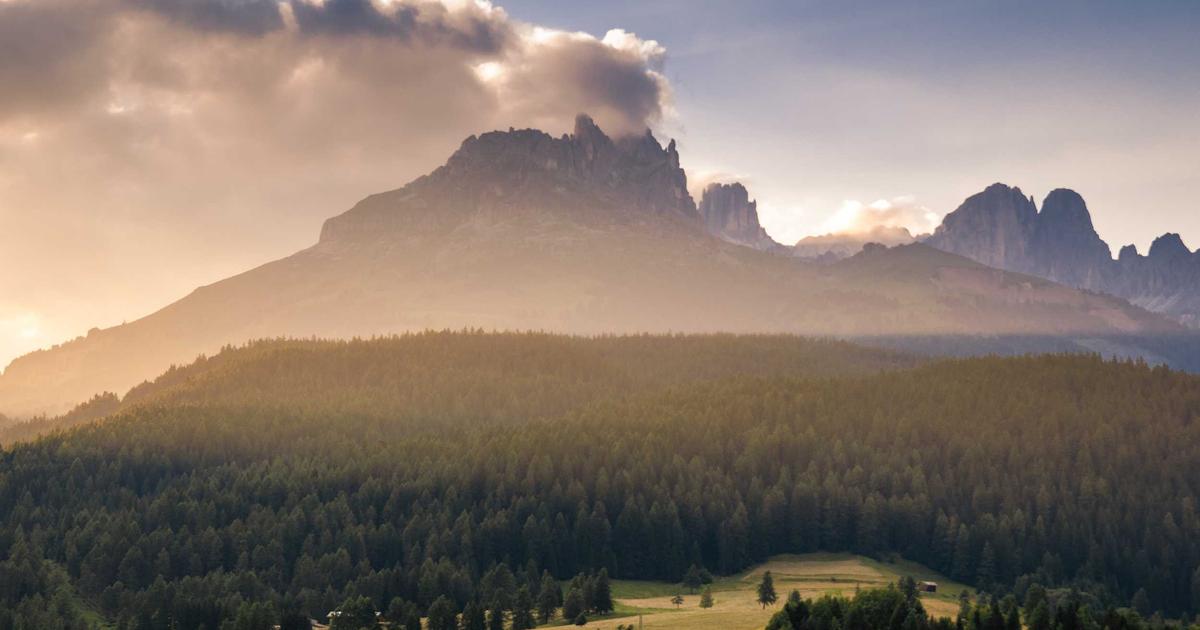 AnyDesk：远程办公新选择，便捷高效的远程桌面工具 - AnyDesk 远程桌面