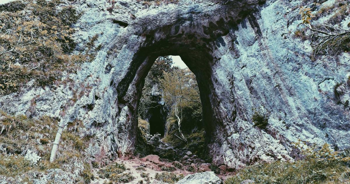 如何轻松下载 AnyDesk 并实现远程控制 - download anydesk 远程桌面